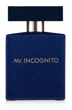 Туалетна вода для чоловіків Mr Incognito, 50мл 3249 фото